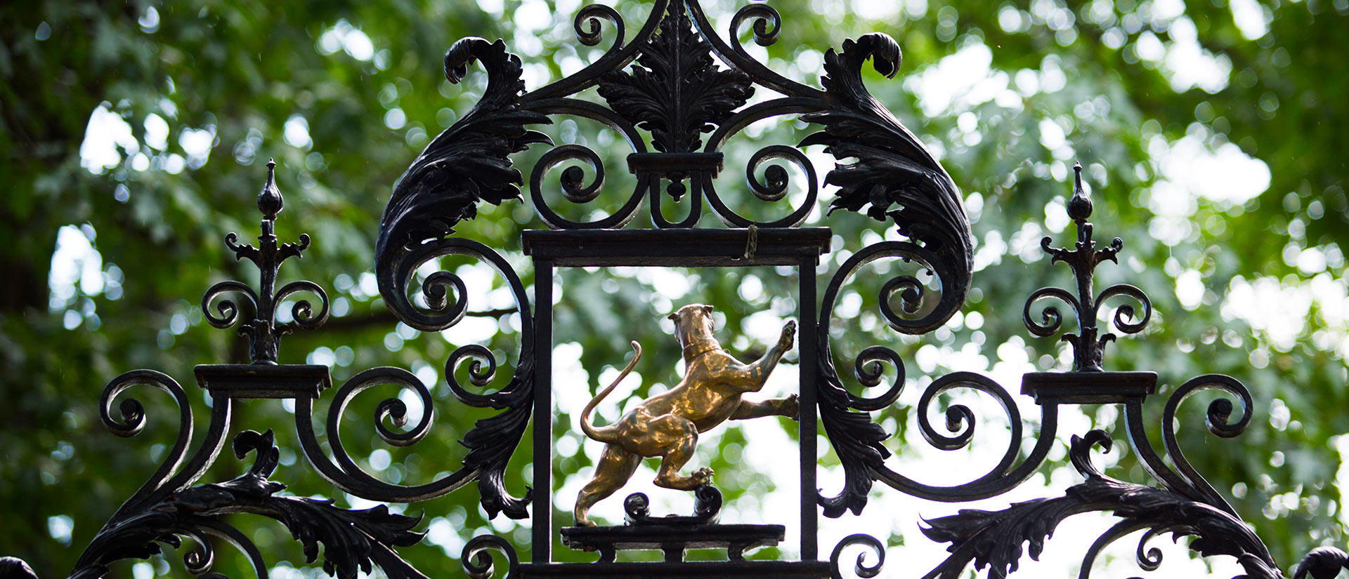 Detail of the ironwork on a gate to Harvard Yard